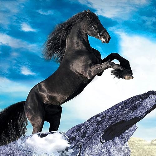 DIY Diamond Painting,Schwarzes Pferd Tier 5D Adult Kinder Diamant Painting Bilder Kits,Full Drill Strass Stickerei Kreuzstich Leinwand Diamant Malerei Mosaik Kunsthandwerk für Home Wall Decor 50x50cm DIY Diamond Painting,Schwarzes Pferd Tier 5D Adult Kinder Diamant Painting Bilder Kits,Full Drill Strass Stickerei Kreuzstich Leinwand Diamant Malerei Mosaik Kunsthandwerk für Home Wall Decor 50x50cm von Yeecer