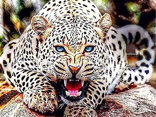 Yeerum DIY 5D Diamond Painting Leopard, 5D Diamant Painting Tier Full Malen Nach Zahlen Erwachsene Stickerei Strass Kreuzstich Kunst Deko 40x50 cm von Yeerum
