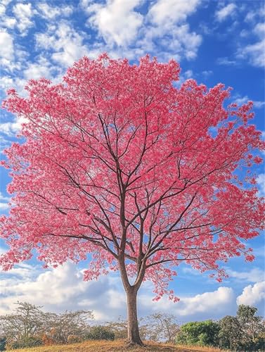 Diamond Painting Baum Diamond Painting Erwachsene Groß XXL Blume 20x30cm DIY 5D Crystal Strass Stickerei Kreuzstich Kinder Diamant Malerei Leinwand Kit, Geschenke für Zuhause Wand Dekoration L-1368 von Yeogcohe