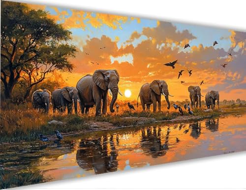 Elefant Malen Nach Zahlen Erwachsene Groß 40x80cm,Malen Nach Zahlen mit Rahmen Sonnenuntergang,Kreativ Set für Erwachsene,DIY Handgemalt Ölgemälde Leinwand Kit mit Pinseln Acryl,Home Dekor Gifts LE-7 von Yeogcohe