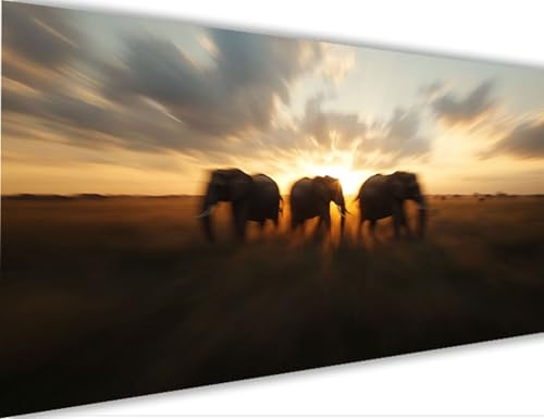 Malen Nach Zahlen Elefant,Tier Malen Nach Zahlen Erwachsene mit Rahmen 50x150cm,Paint by Numbers ab 5-10 Jahre Mädchen Geschenke,DIY Ölgemälde Set mit Pinseln Acryl Leinwan,Wanddeko Wohnzimme LE-490 von Yeogcohe