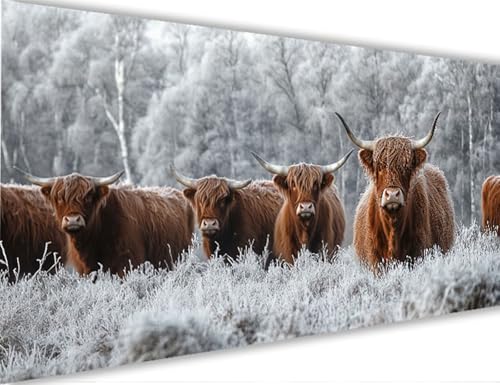 Malen Nach Zahlen Erwachsene Hochlandrinder Malen Nach Zahlen mit Rahmen 40x80cm Tier Paint by Numbers für Anfänger,DIY Set Erwachsene,Ölgemälde Leinwand Kit mit Acryl Bastelset,Wand Dekor LE-983 von Yeogcohe