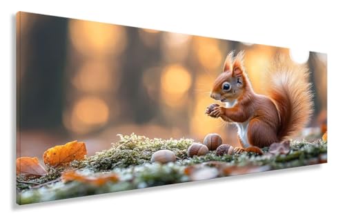 Diamond Painting Eichhörnchen, Diamond Painting Erwachsene Tier Full Drill Bastelset Erwachsene Anfänger, DIY Diamant Kunst Malerei Stickerei Set Kreuzstich Geschenke, Deko Wohnzimmer 80x160CM Y2-949 Diamond Painting Eichhörnchen, Diamond Painting Erwachsene Tier Full Drill Bastelset Erwachsene Anfänger, DIY Diamant Kunst Malerei Stickerei Set Kreuzstich Geschenke, Deko Wohnzimmer 80x160CM Y2-949 von Yhoonn