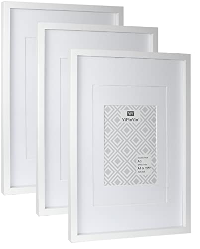 Bilderrahmen, A3, Weiß, 3 Stück, mit doppelten Passepartouts für A4 und 15,2 x 20,3 cm, A4-Bilderrahmen für 3 Stück, weißer A3-Holz-Posterrahmen mit Halterung für A4-Bilderrahmen Bilderrahmen, A3, Weiß, 3 Stück, mit doppelten Passepartouts für A4 und 15,2 x 20,3 cm, A4-Bilderrahmen für 3 Stück, weißer A3-Holz-Posterrahmen mit Halterung für A4-Bilderrahmen von YiPinYin
