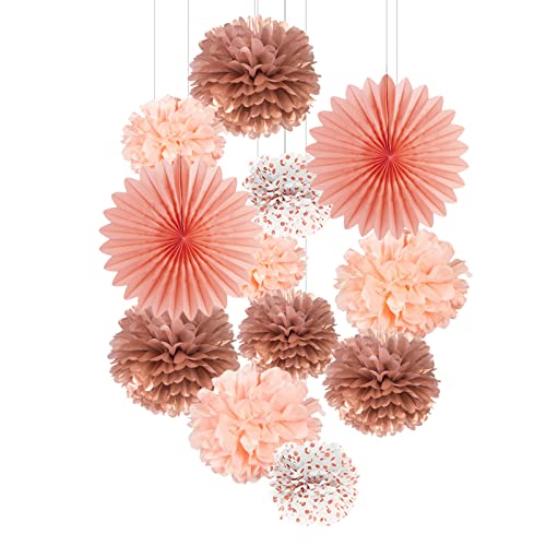 Roségold Deko 12pcs Pompons Rose Gold Seidenpapier Pompoms Geburtstagsdeko Papier Fächer Rosa Pom Poms Set für Party Mädchen von YiiiGoood