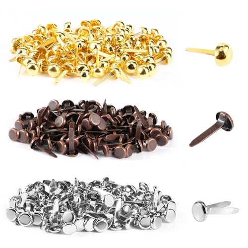 YiliYa 300 Stück Mini Runde Brads, Musterbeutelklammern Rundkopfklammern Musterklammern Metall Rundkopfklammern Scrapbooking Brads Musterklammern für DIY Scrapbooking Basteln Papierverschluss YiliYa 300 Stück Mini Runde Brads, Musterbeutelklammern Rundkopfklammern Musterklammern Metall Rundkopfklammern Scrapbooking Brads Musterklammern für DIY Scrapbooking Basteln Papierverschluss von YiliYa