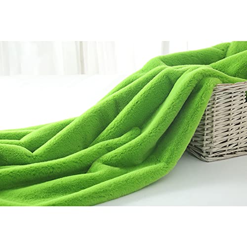 Yimihua Plüschstoff zum nähen Velour Kunstfell Kaninchen Fell Stoff 10mm Florlänge Stoffe zum nähen polsterstoff, Grün(Size:1.6m*5m) von Yimihua
