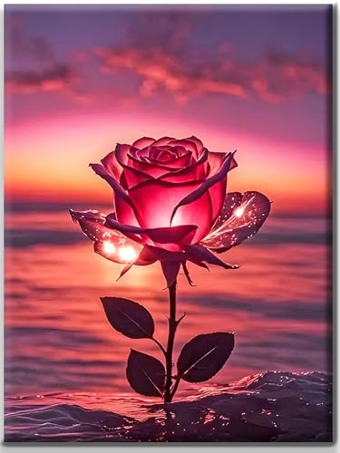 Yiminu.DS Diamond Painting Erwachsene, Diamant Painting Bilder Blumen 30x40cm 5D Diamond-Painting Diamant Painting Bastelset BastelnWanddeko, Rosenmeer Yiminu.DS Diamond Painting Erwachsene, Diamant Painting Bilder Blumen 30x40cm 5D Diamond-Painting Diamant Painting Bastelset BastelnWanddeko, Rosenmeer von Yiminu.DS