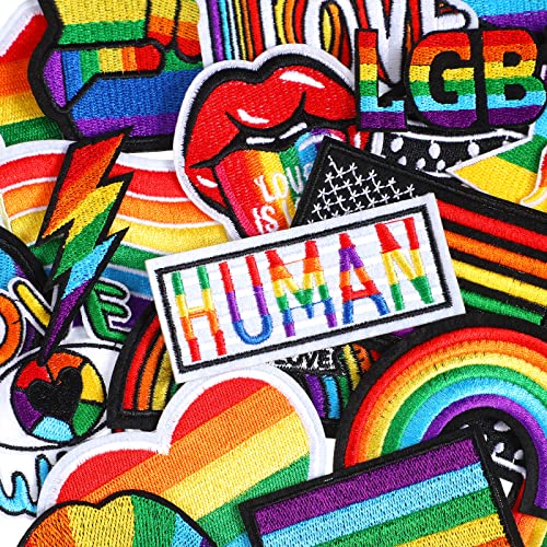 80 Stück Rainbow Pride bestickter Aufnäher zum Aufbügeln, Herzflagge, Lächeln, Regenbogen, verschiedene Nähapplikationen, für Bastelarbeiten, Kleidung, Rucksäcke, 20 Stile, Regenbogenfarben von Yinder