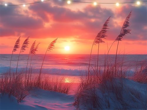 Diamond Painting Gras Diamond Painting Erwachsene Sonnenuntergang Basteln Erwachsene, 5D Diamant Paintings Kits 60x80cm, Mosaikherstellung Bastelset, Cross Stickerei Malerei Kits für Wanddeko K9-1386 von Yingeen