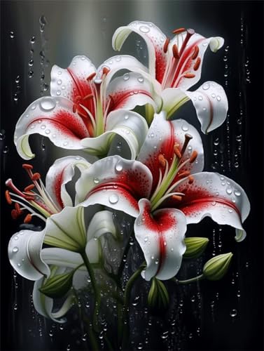 5D Diy Diamond Painting Erwachsene Kit Rote Und Weiße Lilie Diamant Malerei Bilder Full Drill Cross Stickerei Set Mosaikherstellung Kinder Malen Nach Zahlen für Home Decor Geschenk Round 50x70cm D4025 von Yizgrz