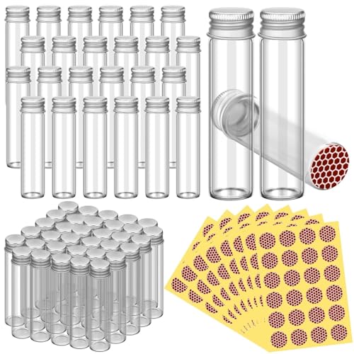 Streichholzhalter aus Glas,Kleine Glasglocke 48 Stück leere Streichholzgläser mit Streichholzaufklebern, blanke Streichholzschachteln for Gäste, Hochzeit, Brautparty, Abschlussfeier, Partygeschenk, 2, Streichholzhalter aus Glas,Kleine Glasglocke 48 Stück leere Streichholzgläser mit Streichholzaufklebern, blanke Streichholzschachteln for Gäste, Hochzeit, Brautparty, Abschlussfeier, Partygeschenk, 2, von Ymnilian
