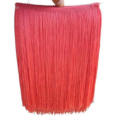 Ymnilian Fransenborte,Fransen 1 Yard/Lot 25 cm Lange Polyester Spitze Quaste Fringe Weiß Spitze Trim Band Nähen Latein Kleid Bühne Kleidungsstück Vorhang DIY Zubehör(Red 2) von Ymnilian