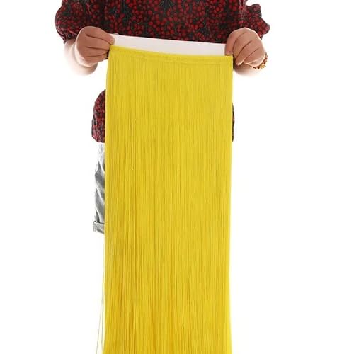 Ymnilian Fransenborte,Fransen 100CM Lange Spitze Fringe Trim Quaste Fringe Trimmen for DIY Latin Kleid Bühne Kleidung Zubehör Spitze Vorhang(Meter) von Ymnilian