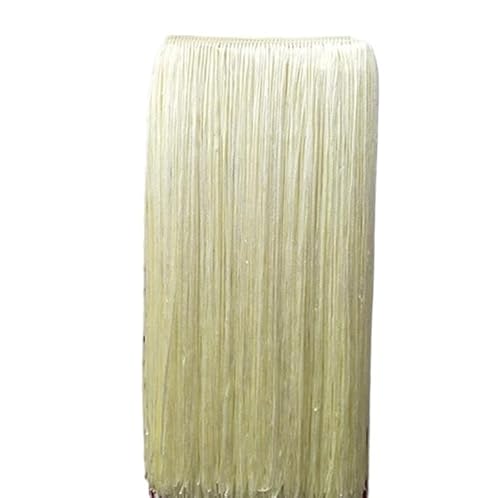 Ymnilian Fransenborte,Fransen 2 Meter/los 100 cm Lange Spitze Quaste Fransenbesatz for DIY Latin Kleid Bühnenkleidung Vorhang Zubehör Band(Beige) von Ymnilian