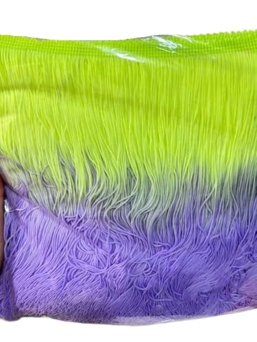 Ymnilian Fransenborte,Fransen 2 Meter/los 20 cm Lange Verschlüsselt Zweifarbige Nylon Spitzenbesatz Quaste Fringe DIY Latin Kleid Bühnenkleidung Vorhang Benutzerdefinierte Zubehör(Green Purple) von Ymnilian