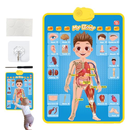 Alphabet-Poster für den Unterricht, zum Lernen von Postern für Kleinkinder – elektronisch, interaktiv, pädagogisch, sprechend, Musikwandtisch Alphabet-Poster für den Unterricht, zum Lernen von Postern für Kleinkinder – elektronisch, interaktiv, pädagogisch, sprechend, Musikwandtisch von Ynnhik