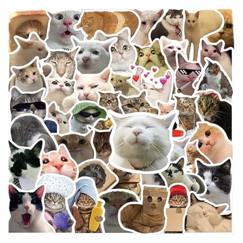 50pcs Lustige Katzen Sticker, Cat Katze Wasserfeste Vinyl Aufkleber, Süße Katzen Aufkleber, Cartoon Aufkleber für Kinder,für Auto Motorräder Fahrrad Skateboard Snowboard Gepäck,Cute Cartoon Aufkleber 50pcs Lustige Katzen Sticker, Cat Katze Wasserfeste Vinyl Aufkleber, Süße Katzen Aufkleber, Cartoon Aufkleber für Kinder,für Auto Motorräder Fahrrad Skateboard Snowboard Gepäck,Cute Cartoon Aufkleber von Yoimckay