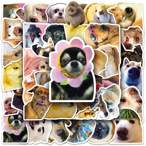 Yoimckay 50 Stück Meme Hund Aufkleber, Geschenk für Kinder, Wasserdichte Vinyl Sticker für Laptop Kinder Autos Motorrad Fahrrad Skateboard Gepäck Koffer Computer, Niedliche Graffiti Aufkleber von Yoimckay