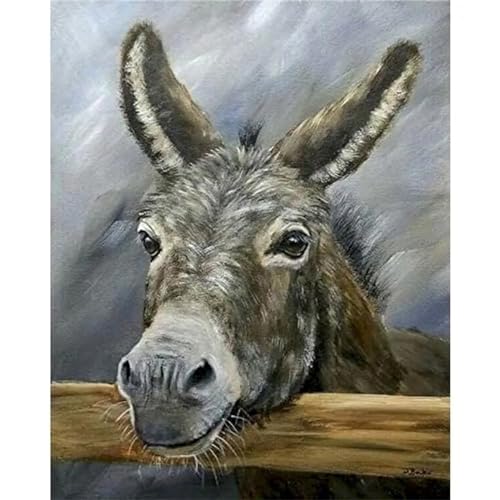 Yoonqun Esel-Tiere Malen Nach Zahlen Set,40x50cm Malen Nach Zahlen Erwachsene DIY inklusive Pinsel und Acrylfarben Handgemalt Ölgemälde Kit Startseite Wandkunst Dekoration - ohne Rahmen Yoonqun Esel-Tiere Malen Nach Zahlen Set,40x50cm Malen Nach Zahlen Erwachsene DIY inklusive Pinsel und Acrylfarben Handgemalt Ölgemälde Kit Startseite Wandkunst Dekoration - ohne Rahmen von Yoonqun