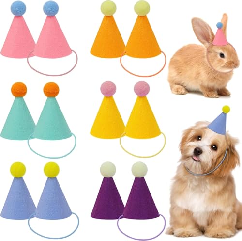 Yootiko 12 Mini Partyhüte in sanften Farben, Geburtstagsmützen für Hunde, Katzen, Kaninchen und Stofftiere, Niedliche Tierparty Dekoration, Pastellfarbenset von Yootiko