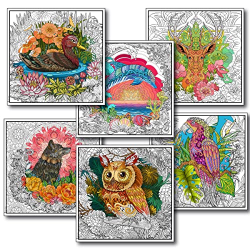 Young N Refined 6 Stück große Malposter für Erwachsene mit Tier-Mandala-Blumen (61 x 61 cm) von Young N Refined