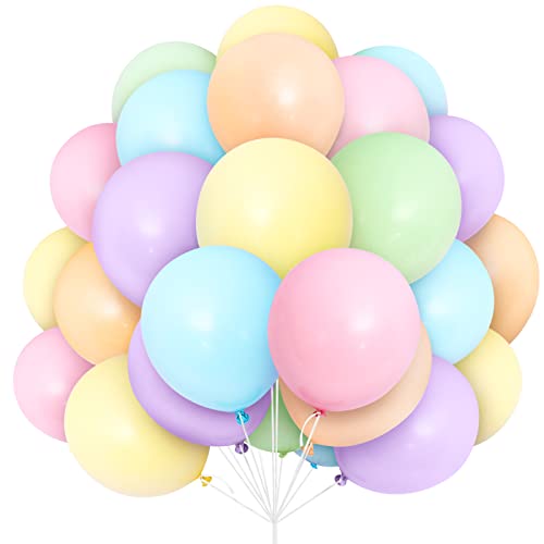 Luftballons Pastell, 30 Stück 12 Zoll Pastell Farben Luftballons Ballons mit Ballonband für Regenbogen Party Deko Geburtstag Hochzeit Brautdusche Babyparty Baby Dusche Taufen Eagagement Dekorationen Luftballons Pastell, 30 Stück 12 Zoll Pastell Farben Luftballons Ballons mit Ballonband für Regenbogen Party Deko Geburtstag Hochzeit Brautdusche Babyparty Baby Dusche Taufen Eagagement Dekorationen von Yoyoin