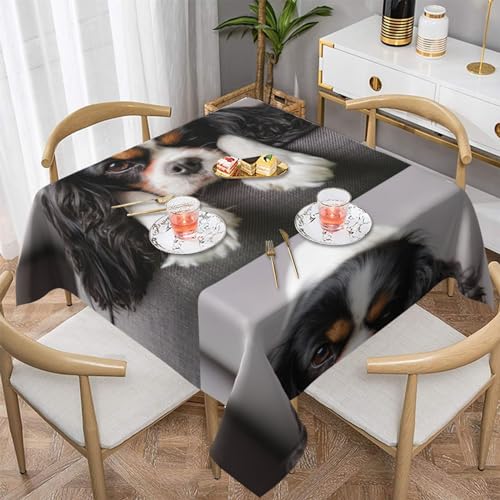 Tischdecken, 137 cm, waschbare Tischdecke, Tischdecken für Küche, Esszimmer, Party,Cavalier King Charles Spaniel Hund Tischdecken, 137 cm, waschbare Tischdecke, Tischdecken für Küche, Esszimmer, Party,Cavalier King Charles Spaniel Hund von YsoLda