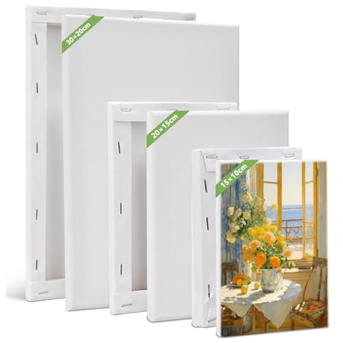 6 Stück Leinwand zum bemalen, 100% Baumwolle Leinwände Set, 30x20,20x15,15x10 cm Weiß, Canvas Künstlertafelbilder Bespannte Keilrahmen Leinwände zum Malen Acryl Leinwand Rahmen von Yunlaishaocer