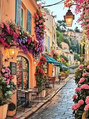 Yunruily Malen Nach Zahlen Erwachsene Straße-Paint by Numbers Kits for Adults,Landschaft Diy Malen Nach Zahlen und Acrylfarbe,zur Heimdekoration,Kein Rahmen (40cmx50cm) von Yunruily