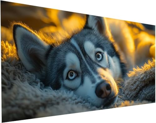 Diamond Painting Husky Set für Erwachsene, Diamant Painting Bilder Hund für Basteln Mädchen 8 Jahre Geschenke, 5D DIY Runder Daiments Malerei Stickerei Bilder Anfänger für Zuhause Deko 140x70cm L-85 Diamond Painting Husky Set für Erwachsene, Diamant Painting Bilder Hund für Basteln Mädchen 8 Jahre Geschenke, 5D DIY Runder Daiments Malerei Stickerei Bilder Anfänger für Zuhause Deko 140x70cm L-85 von Yuogyxog