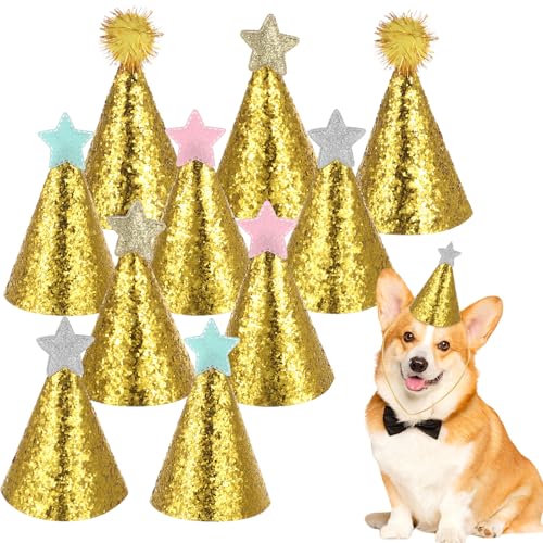 Yuomeaz 10 Stück Partyhüte, Hütchen Kinder mit Stern und Kugel, Verstellbare Katzen Geburtstag Deko, Partyhüte für Kuscheltiere für Hunde Geburtstag, Kostüm Zubehör Yuomeaz 10 Stück Partyhüte, Hütchen Kinder mit Stern und Kugel, Verstellbare Katzen Geburtstag Deko, Partyhüte für Kuscheltiere für Hunde Geburtstag, Kostüm Zubehör von Yuomeaz