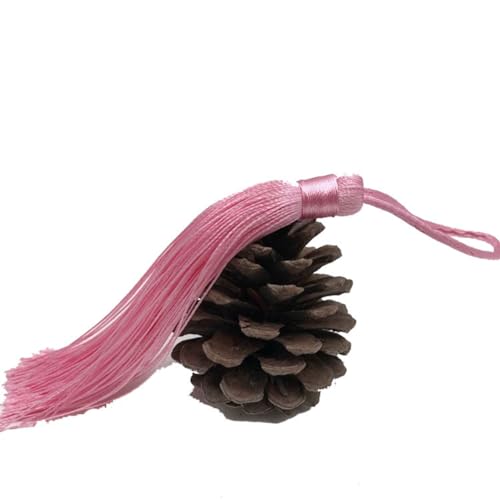 Yurosiay 10 Stück Quasten Anhänger 18cm Tassel Anhänger Mit Kordel Handgefertigte Seidige Quasten DIY Basteln Quasten Bunt Lesezeichen Quasten Groß Troddel Anhänger für DIY Projekte Rosa Yurosiay 10 Stück Quasten Anhänger 18cm Tassel Anhänger Mit Kordel Handgefertigte Seidige Quasten DIY Basteln Quasten Bunt Lesezeichen Quasten Groß Troddel Anhänger für DIY Projekte Rosa von Yurosiay