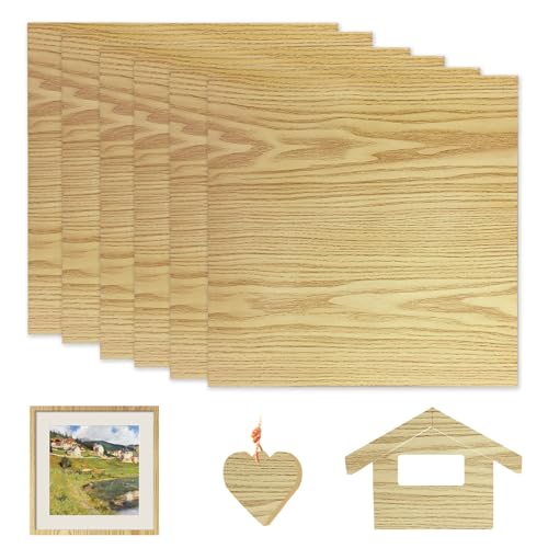 6 Stück Unbehandeltes Holz, Leere Holzbretter 30,5 X 30,5 cm, Holzhandwerk Plywood, Handwerk Sperrholz für Modellbau, Brandmalerei, Lasergravur, Heimwerker, Nussbaumholz 6 Stück Unbehandeltes Holz, Leere Holzbretter 30,5 X 30,5 cm, Holzhandwerk Plywood, Handwerk Sperrholz für Modellbau, Brandmalerei, Lasergravur, Heimwerker, Nussbaumholz von YushengTai