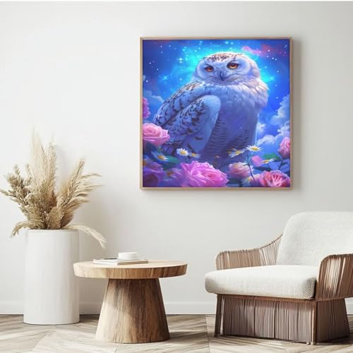 Dream MK133 Malen nach Zahlen für Erwachsene, Malen nach Zahlen, Eule, Acryl, Malen nach Zahlen für Erwachsene/Anfänger, Ölgemälde, Basteln für Heimdekoration, Wanddekoration – (35 x 35 cm, mit Rahmen Dream MK133 Malen nach Zahlen für Erwachsene, Malen nach Zahlen, Eule, Acryl, Malen nach Zahlen für Erwachsene/Anfänger, Ölgemälde, Basteln für Heimdekoration, Wanddekoration – (35 x 35 cm, mit Rahmen von Yyafeenng