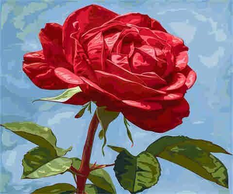 Malen-nach-Zahlen-Set für Erwachsene, Malen-nach-Zahlen-Set, Blume, Acryl, Farbe nach Zahlen für Erwachsene/Anfänger, Ölgemälde, Basteln für Heimdekoration, 50 x 40 cm, ohne Rahmen) MK156 von Yyafeenng