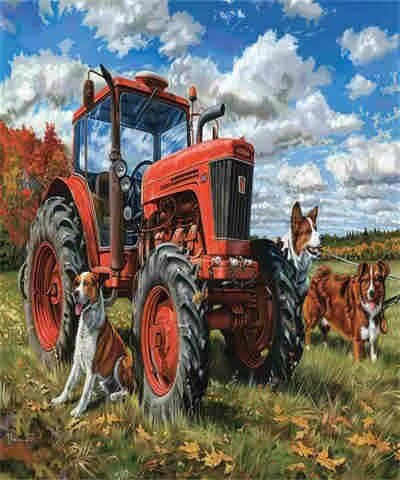 Malen-nach-Zahlen-Set für Erwachsene, Malen-nach-Zahlen-Set, Motiv: Hund, Acrylfarbe nach Zahlen für Erwachsene/Anfänger, Ölgemälde, Basteln für Heimdekoration, 30 x 40 cm, ohne Rahmen) MK54 von Yyafeenng