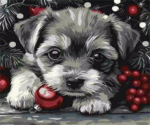 Malen nach Zahlen für Erwachsene, Malen nach Zahlen Hund, Acryl, Farbe nach Zahlen für Erwachsene/Anfänger, Ölgemälde, Basteln für Heimdekoration, 70 x 50 cm, ohne Rahmen) MK191 von Yyafeenng