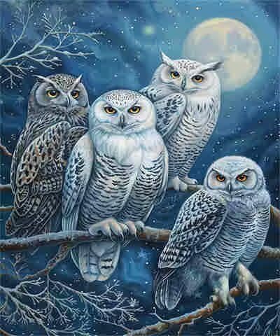Malen nach Zahlen für Erwachsene, Malen nach Zahlen Mond, einfache Acrylfarbe nach Zahlen für Erwachsene/Anfänger, Ölgemälde, Basteln für Heimdekoration, 30 x 40 cm, ohne Rahmen) MK241 von Yyafeenng