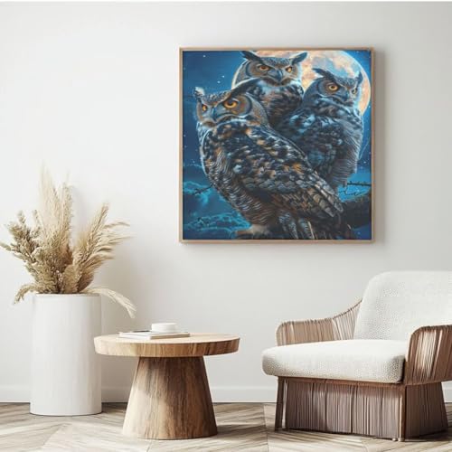 Malen nach Zahlen für Erwachsene, Malen nach Zahlen Mond, einfaches Acrylfarben nach Zahlen für Erwachsene/Anfänger, Ölgemälde, Basteln für Wanddekoration – (25 x 25 cm, mit Rahmen) MK83 von Yyafeenng