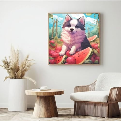 Wassermelonen-Malen-nach-Zahlen-Set für Erwachsene, DIY Malen nach Zahlen Hund, Acrylfarbe nach Zahlen für Erwachsene/Anfänger, Ölgemälde, Basteln für Heimdekoration, Wanddekoration – (35 x 35 cm, mit Wassermelonen-Malen-nach-Zahlen-Set für Erwachsene, DIY Malen nach Zahlen Hund, Acrylfarbe nach Zahlen für Erwachsene/Anfänger, Ölgemälde, Basteln für Heimdekoration, Wanddekoration – (35 x 35 cm, mit von Yyafeenng