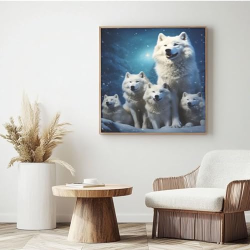 Wolfspaket, Malen nach Zahlen-Set für Erwachsene, Malen nach Zahlen, Tier, Acrylfarbe nach Zahlen für Anfänger, Ölgemälde, Basteln für Heimdekoration, Wanddekoration – (30 x 30 cm, mit Rahmen) MK72 von Yyafeenng
