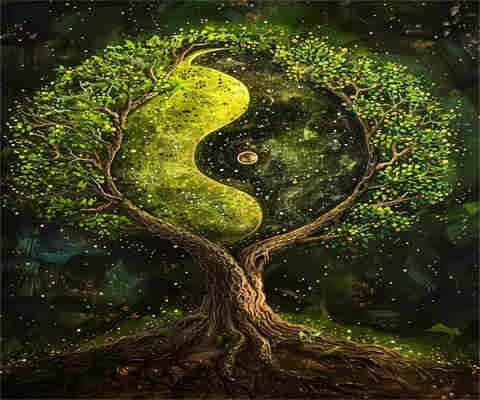 Yin Yang Malen-nach-Zahlen-Set für Erwachsene, DIY Malen nach Zahlen, Baum, Acryl Farbe nach Zahlen für Erwachsene/Anfänger, Ölgemälde, Basteln für Zuhause, Wanddekoration (150 x 100 cm, ohne Rahmen Yin Yang Malen-nach-Zahlen-Set für Erwachsene, DIY Malen nach Zahlen, Baum, Acryl Farbe nach Zahlen für Erwachsene/Anfänger, Ölgemälde, Basteln für Zuhause, Wanddekoration (150 x 100 cm, ohne Rahmen von Yyafeenng