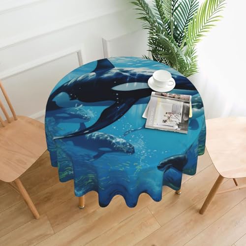 Yyoretp Killerwale schwimmen entlang Druck, rund, dekorative Tischdecke, wasserabweisend, Tischdecke für Küche, Hochzeit, 152 cm Yyoretp Killerwale schwimmen entlang Druck, rund, dekorative Tischdecke, wasserabweisend, Tischdecke für Küche, Hochzeit, 152 cm von Yyoretp