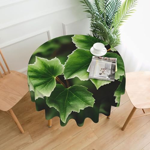 Yyoretp Runde dekorative Tischdecke mit Efeublüten-Baum-Druck, wasserabweisend, Tischdecke für Küche, Hochzeit, 152 cm Yyoretp Runde dekorative Tischdecke mit Efeublüten-Baum-Druck, wasserabweisend, Tischdecke für Küche, Hochzeit, 152 cm von Yyoretp