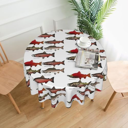 Yyoretp Runde dekorative Tischdecke mit Lachsdruck, wasserabweisend, Tischdecke für Küche, Hochzeit, 152 cm Yyoretp Runde dekorative Tischdecke mit Lachsdruck, wasserabweisend, Tischdecke für Küche, Hochzeit, 152 cm von Yyoretp