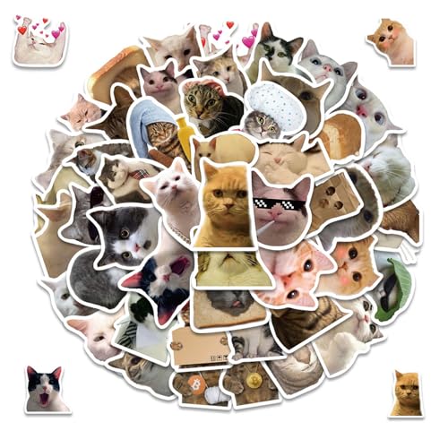 50 Stück Lustiges Katzen Aufkleber Set, Lustiges Katzen Aufkleber Set,Aufkleber für Auto Laptop Skateboard Fahrrad Moped Motorrad Fahrrad Computer,Wasserfeste Katzen Meme Sticker, Katzen Aufkleber 50 Stück Lustiges Katzen Aufkleber Set, Lustiges Katzen Aufkleber Set,Aufkleber für Auto Laptop Skateboard Fahrrad Moped Motorrad Fahrrad Computer,Wasserfeste Katzen Meme Sticker, Katzen Aufkleber von YzmrBdqc