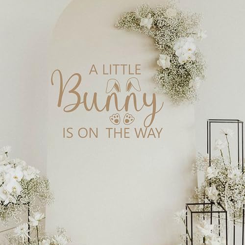 ZAIBIANHAO "A Little Bunny is On The Way" Baby Shower Luftballons Bogen Aufkleber – Some Bunny Party Hintergrund Aufkleber für Frühling Ostern Kaninchen Motto Babyparty ZAIBIANHAO "A Little Bunny is On The Way" Baby Shower Luftballons Bogen Aufkleber – Some Bunny Party Hintergrund Aufkleber für Frühling Ostern Kaninchen Motto Babyparty von ZAIBIANHAO