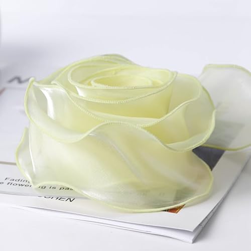 Transparentes Chiffon Organzaband, Organzaband, Polycotton, 9,1 m lang, 5 cm breit, A14 von ZBORAVPIX