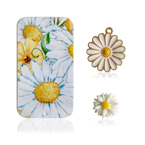 ZDDPDJ Magnetisches Nadeletui und floraler Nadelhalter fr Kreuzstich, Stickerei, Nh-Aufbewahrungsbox aus Metall von ZDDPDJ